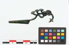 Foto von Bronzeschlangenfibel (NHMW-PRAE-025129)